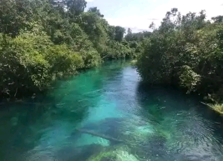 A River That Could Power Delta — But Remains Ignored