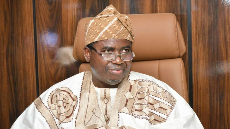 All 22 Parties Successfully Submitted Membership Registers - INEC