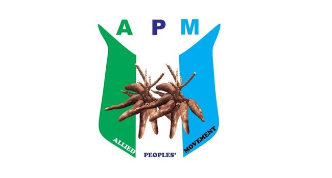 APM Urges Tinubu Government to Account for Fuel Subsidy Savings