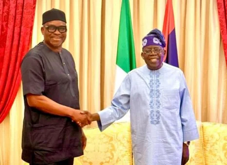 Tinubu Appoints Fayose REA Chairman, Names 25 Others Into Boards, Commissions