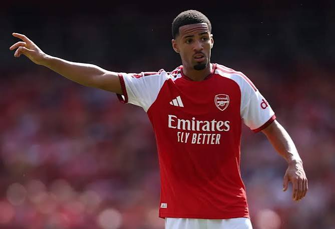 Arsenal loanee Nwaneri sparks Dortmund comeback win in Bundesliga debut