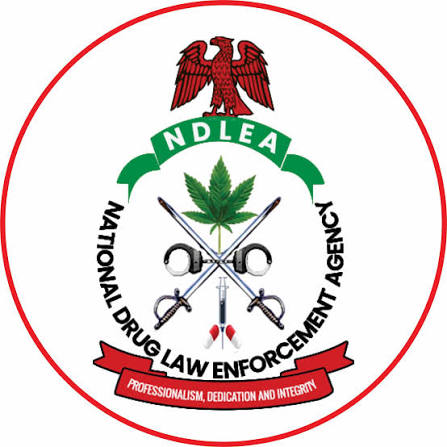 NDLEA Arrests Fugitive Drug Kingpin Festus Ibewuike After Two Years